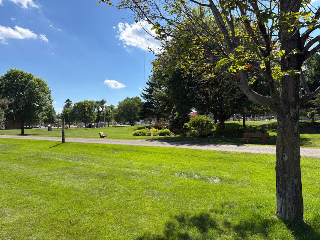 walking near me in Trailside Park in summer