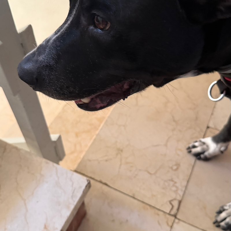 Carlos post 2
