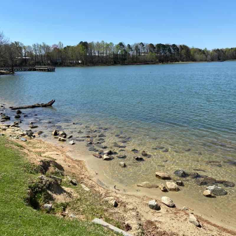 staceyrdixon03 post 2