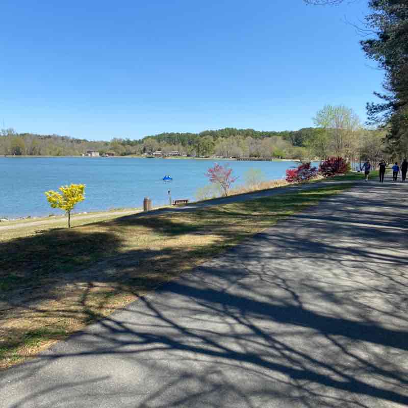 staceyrdixon03 post 3