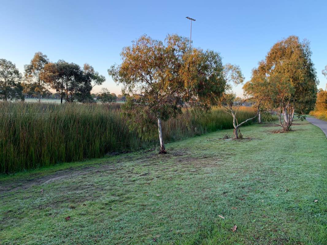 walking near me in Lakeside Recreation Reserve in summer