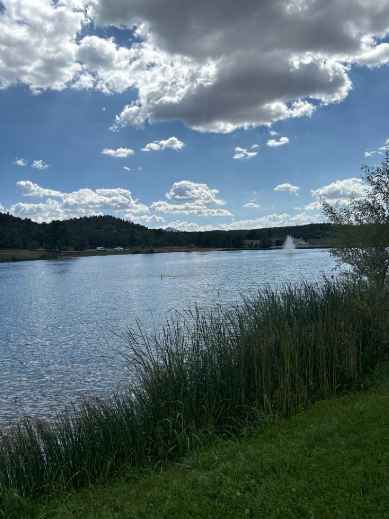 walking near me in Green Valley Park in winter