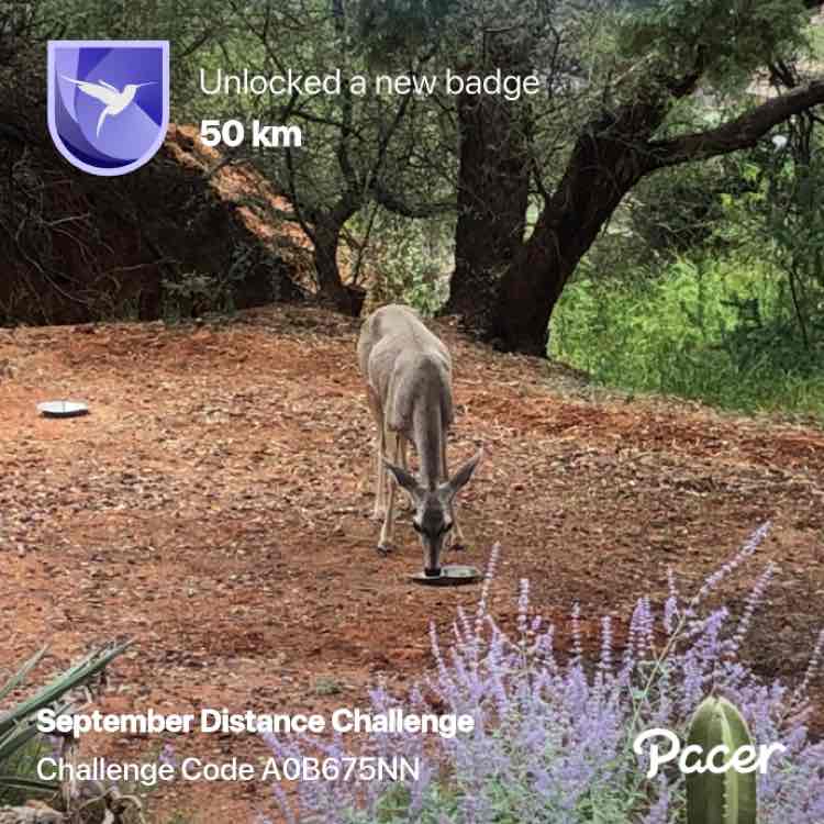 Jennifermac325 post 1