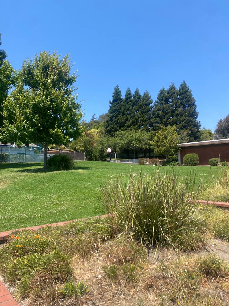 walking near me in Castro Valley Community Park in summer
