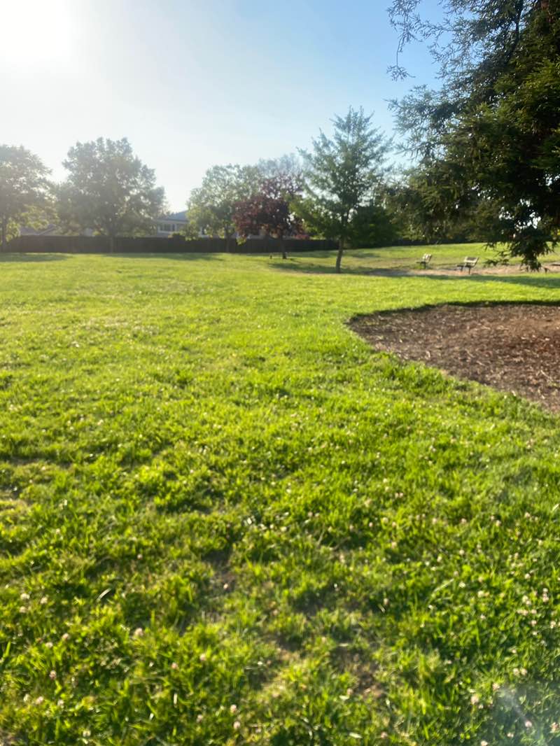 walking near me in Parsons Park in summer