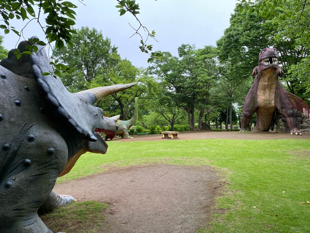 walking near me in 八坂公園 in winter