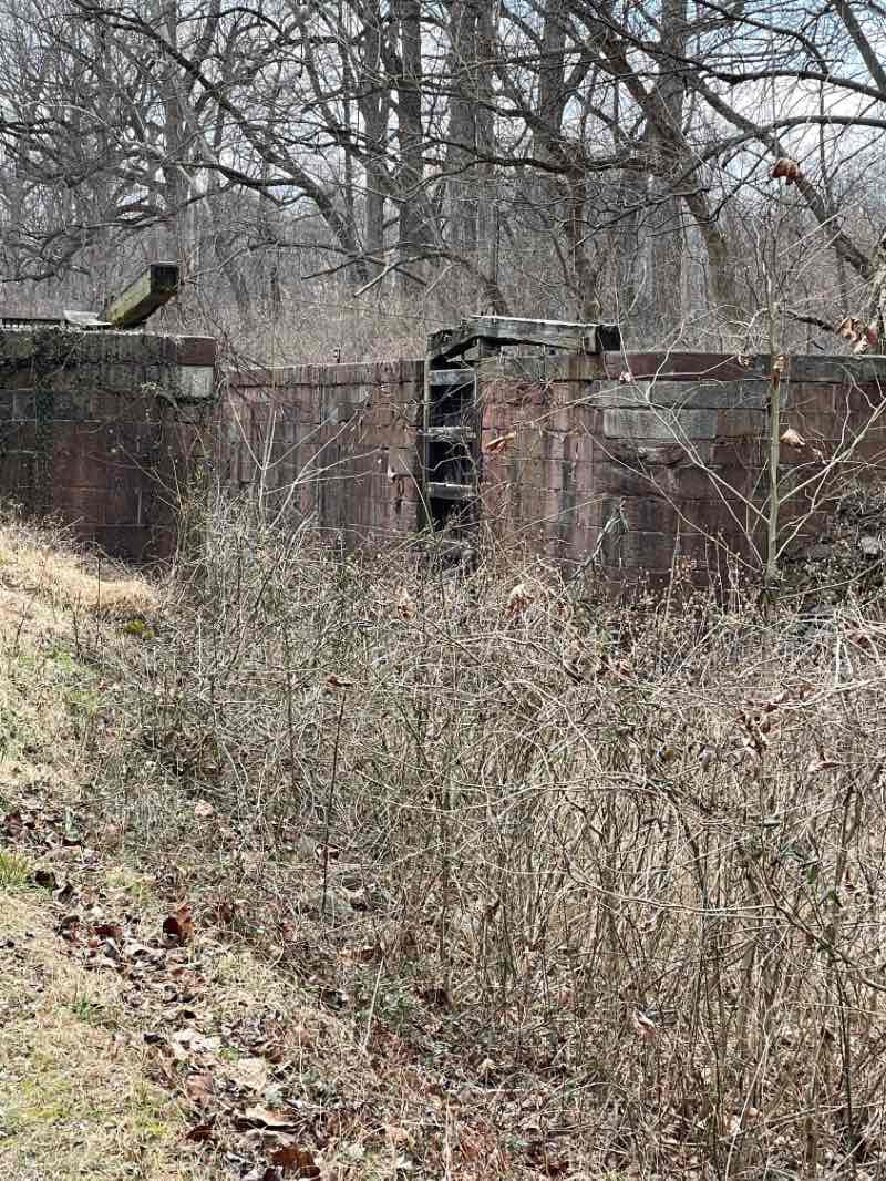 walking near me in Cabin John Stream Valley Park in winter
