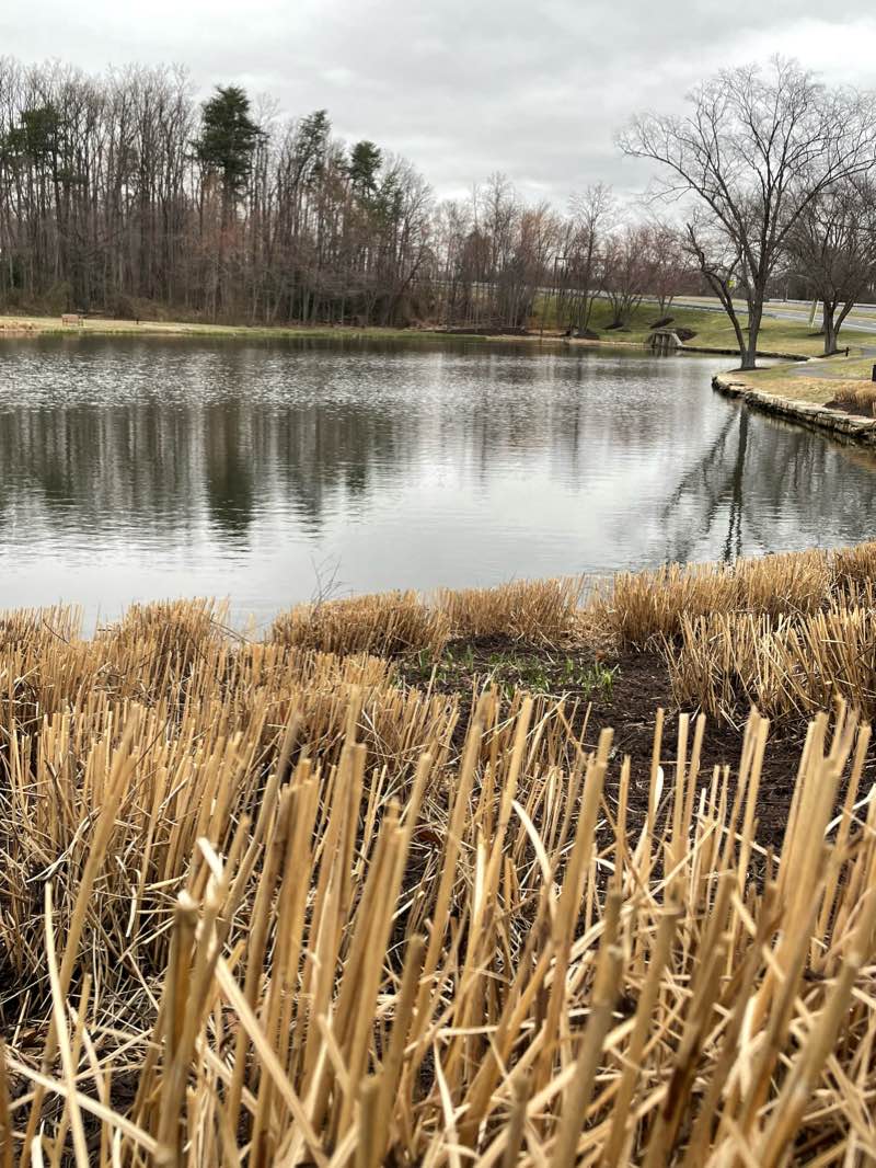 walking near me in Luria Park in winter