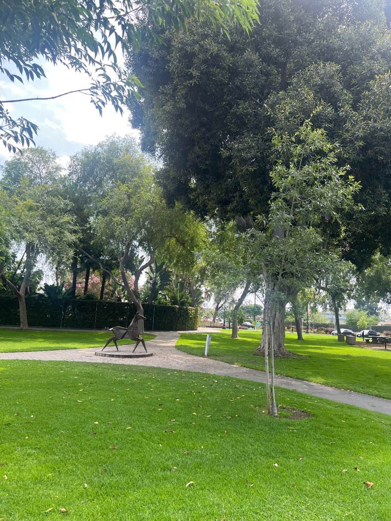 walking near me in Progress Park in summer