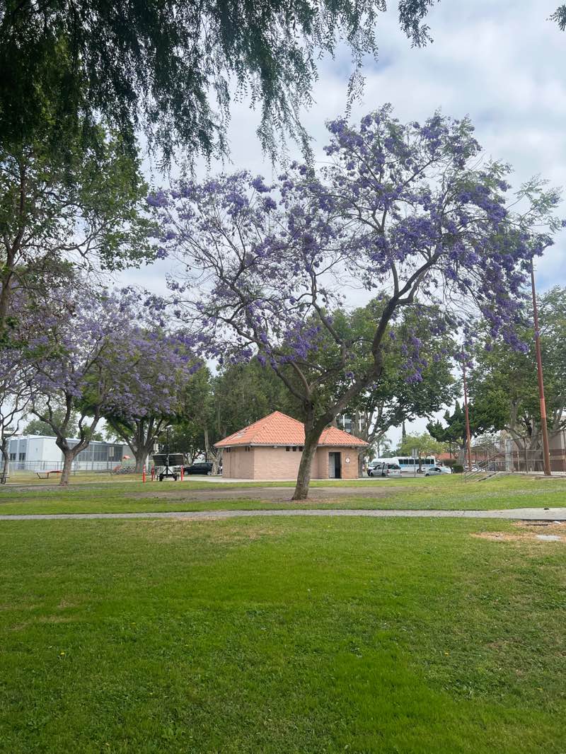 walking near me in Lynwood Park in spring