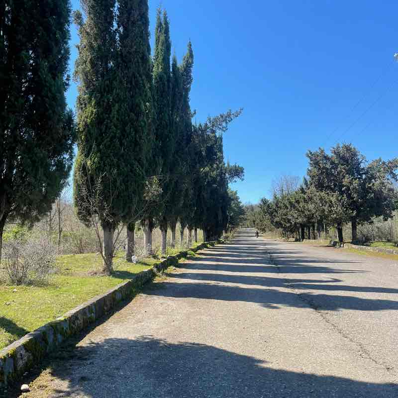 nima.najafdoust post 3