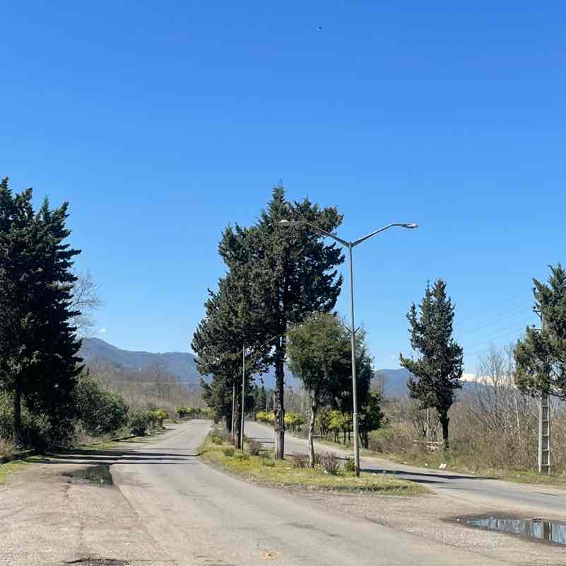 nima.najafdoust post 2