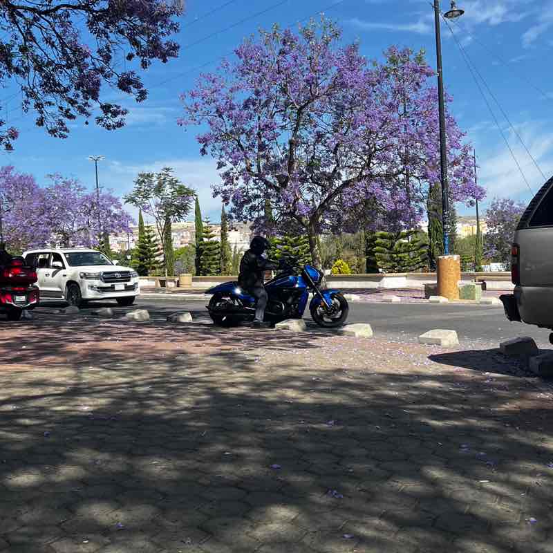 Keep it up 🏃 Shatha post image