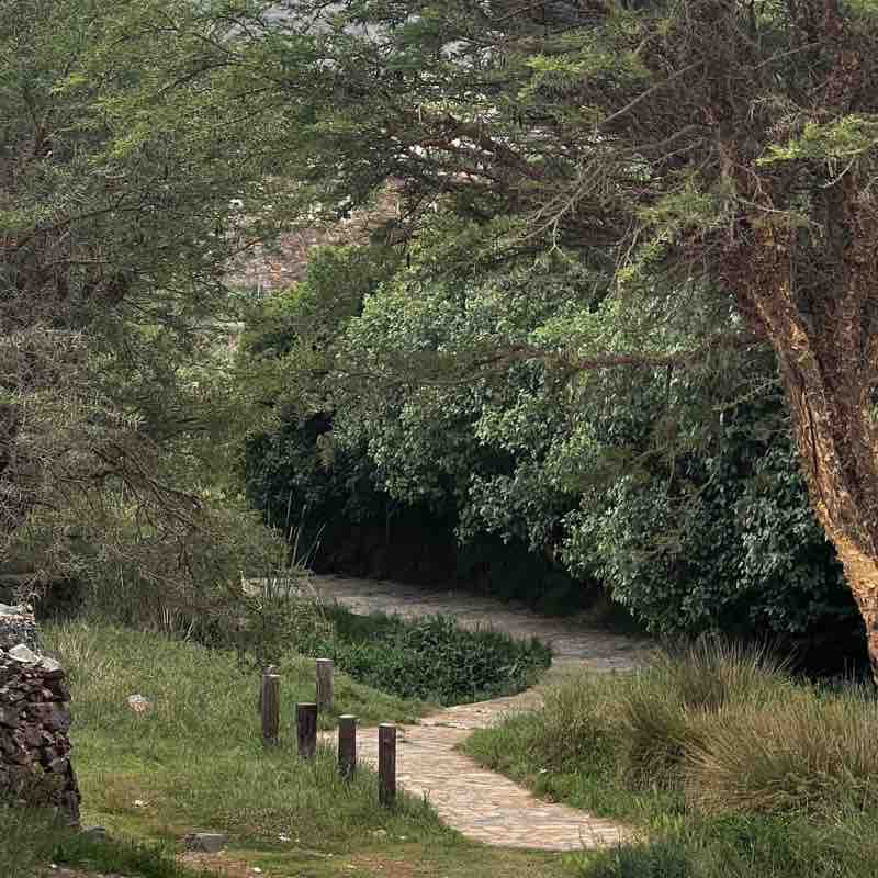 Keep it up 🏃 Shatha post image