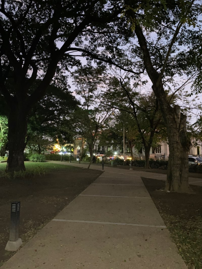 walking near me in Freedom Park in winter