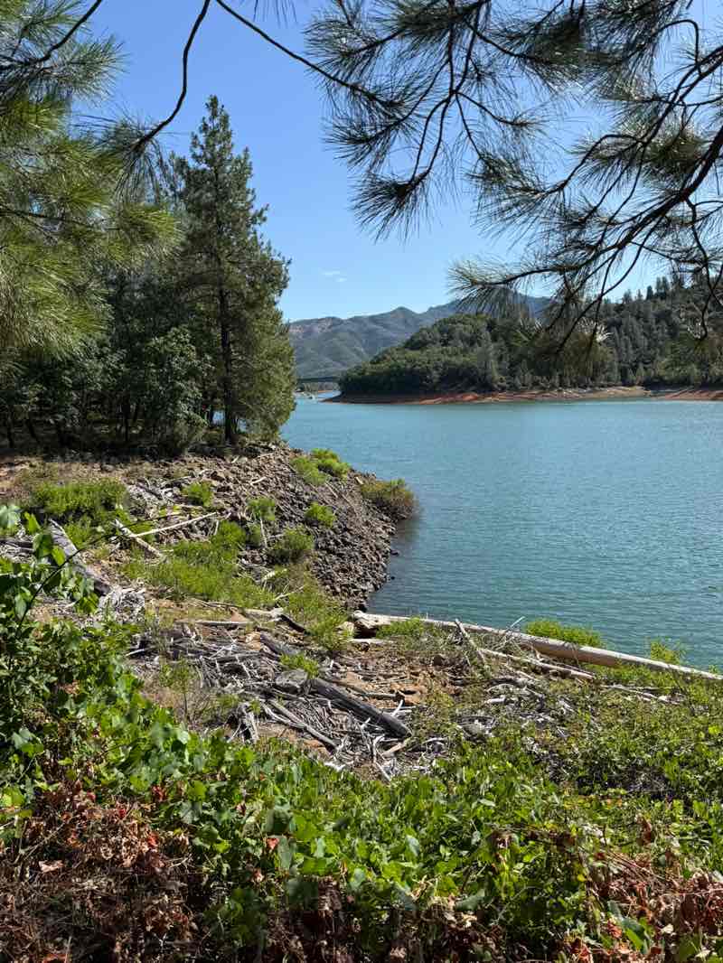 walking near me in Whiskeytown-Shasta-Trinity National Recreation Area - Shasta Unit in summer