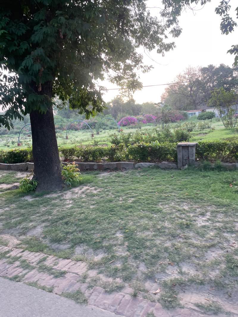 walking near me in National Botanical Research Institute in spring