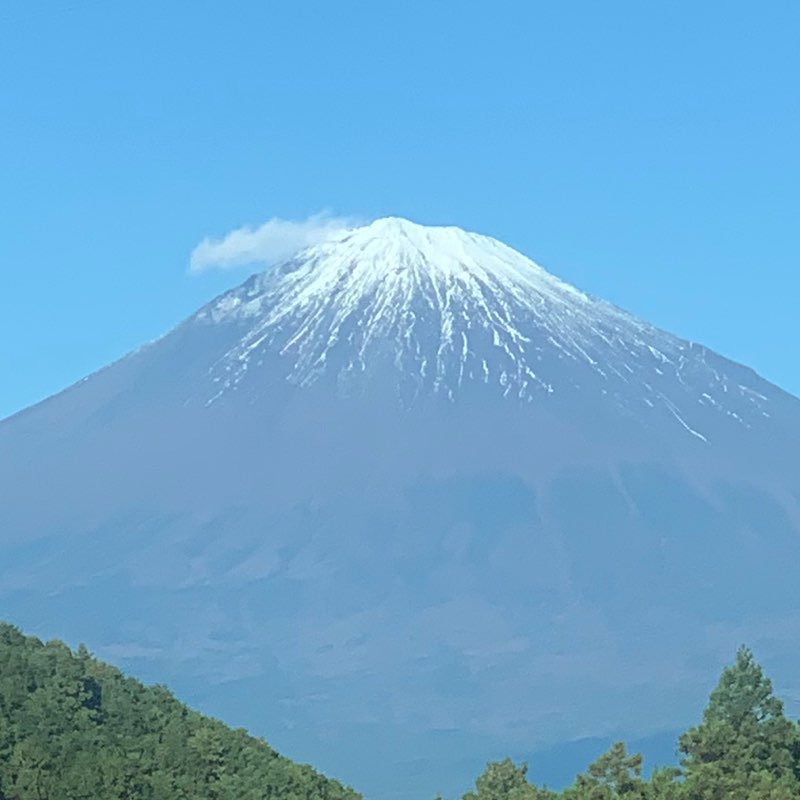 よういちダビッドソン
