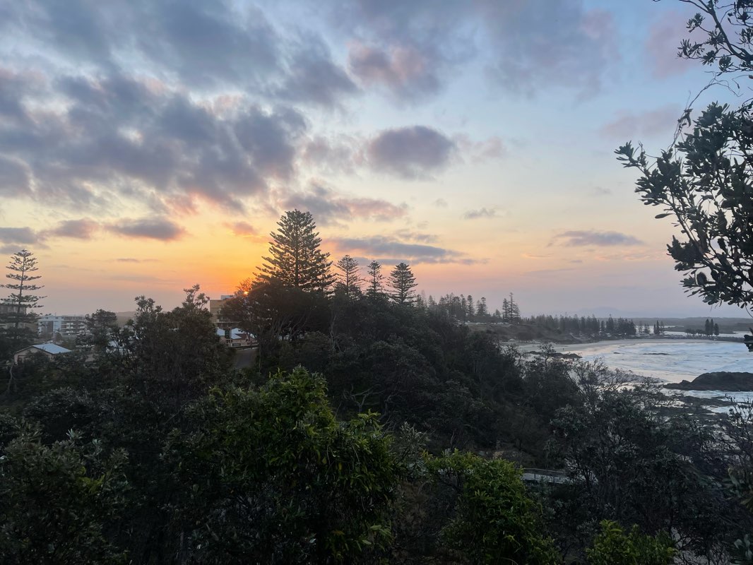 walking near me in James Martin Reserve in summer