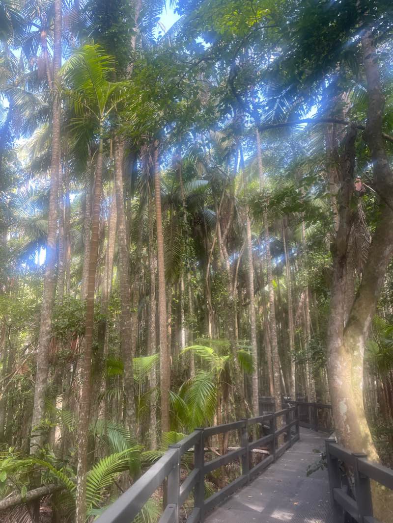 walking near me in Sea Acres National Park in summer