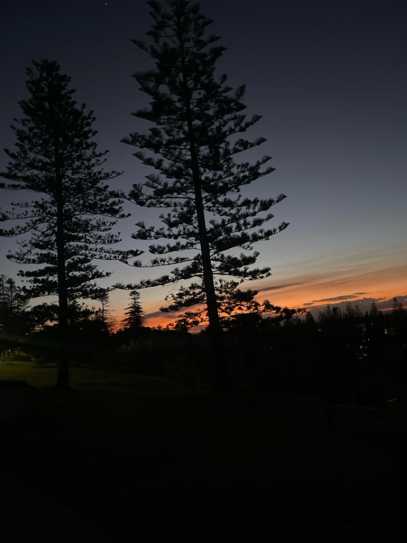 walking near me in Rotary Park in summer