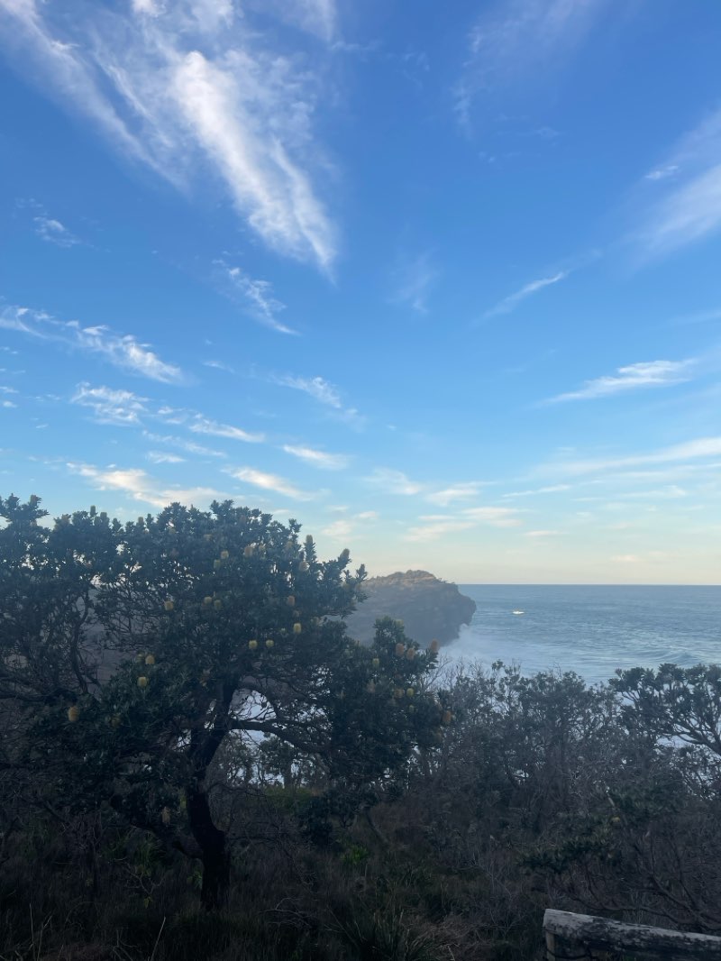 walking near me in Kattang Nature Reserve in winter