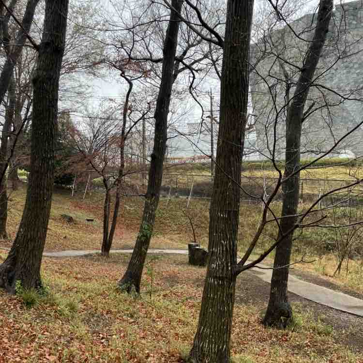 Yasuo🇯🇵 post 2