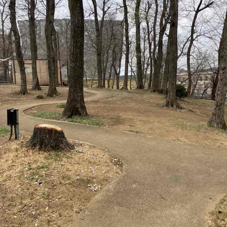 Yasuo🇯🇵 post 2