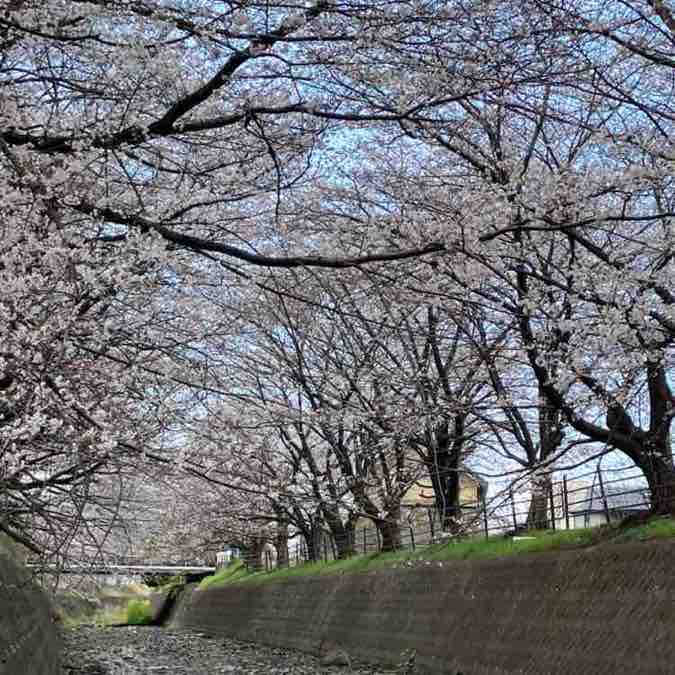 Yasuo🇯🇵 post 3