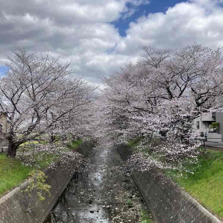 Yasuo🇯🇵 post 2