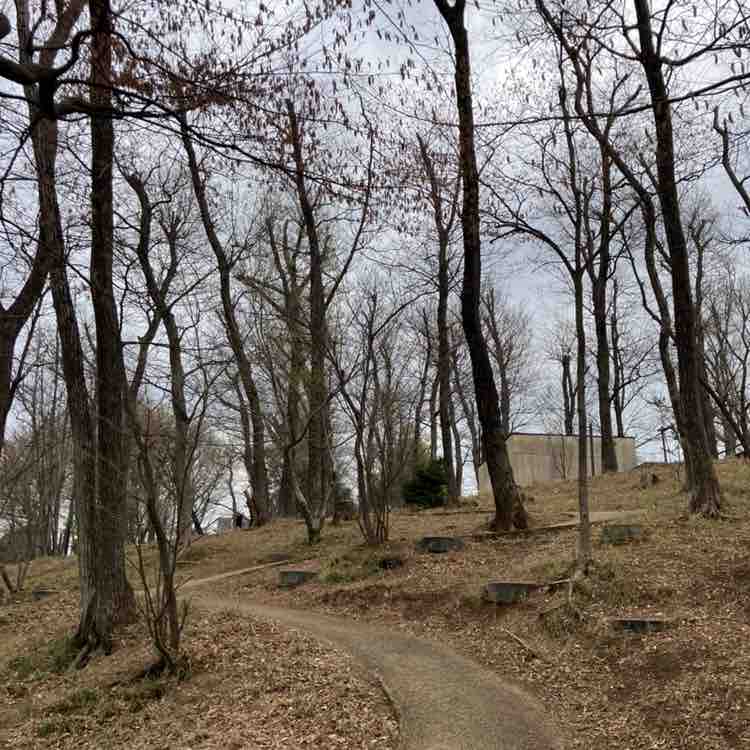 Yasuo🇯🇵 post 3