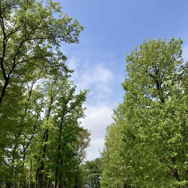 Yasuo🇯🇵 post 2