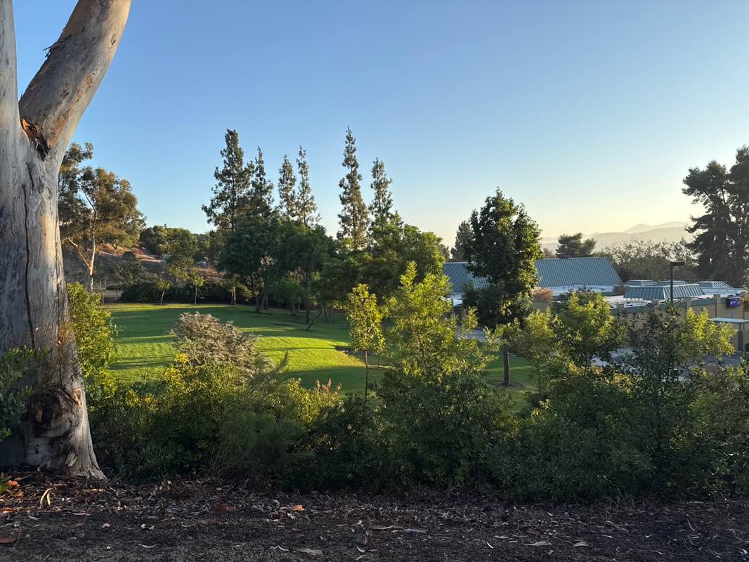 walking near me in Hillside Park in autumn