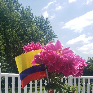 Margarita Featherston