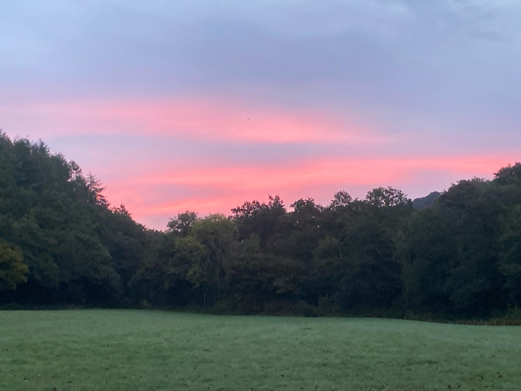 walking near me in The Meadows in autumn