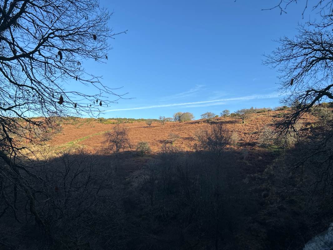 walking near me in Simmons Park in winter