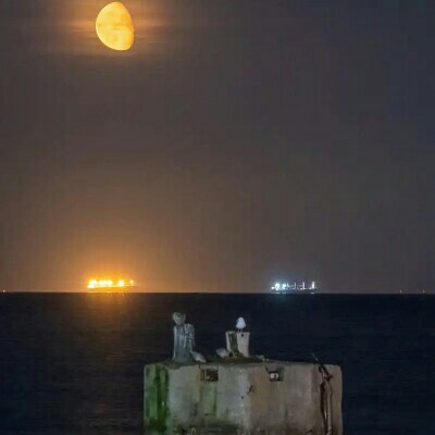 Free Strides Zbigniew🌍🏃🎼 post image