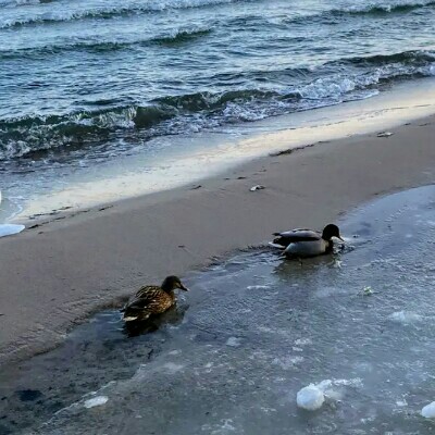 π¦’πTOGETHER WE CANππ¦’ Zbigniew πππΌ post image