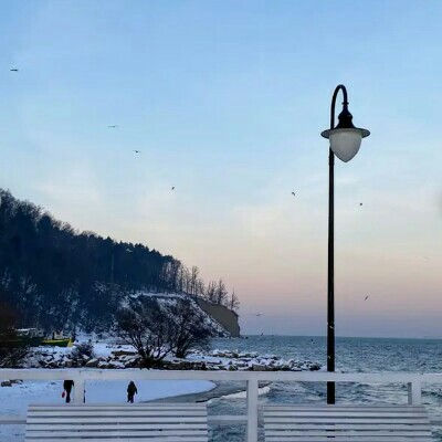 π¦’πTOGETHER WE CANππ¦’ Zbigniew πππΌ post image