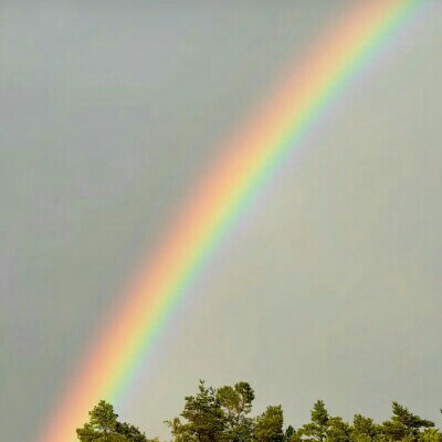 Rainbow    color 3 🌈♥️🌺♥️🌹🌈 Zbigniew 🌍🏃🎼 post image