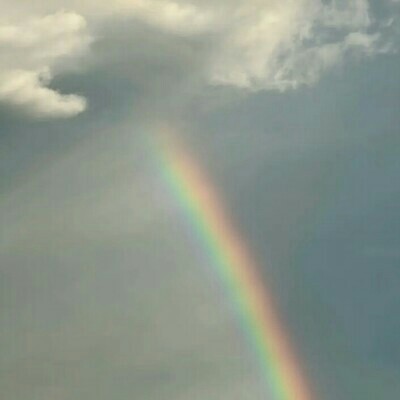 Rainbow    color 3 🌈♥️🌺♥️🌹🌈 Zbigniew 🌍🏃🎼 post image