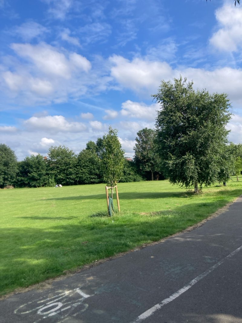 walking near me in Croydon Road Recreation Ground in winter