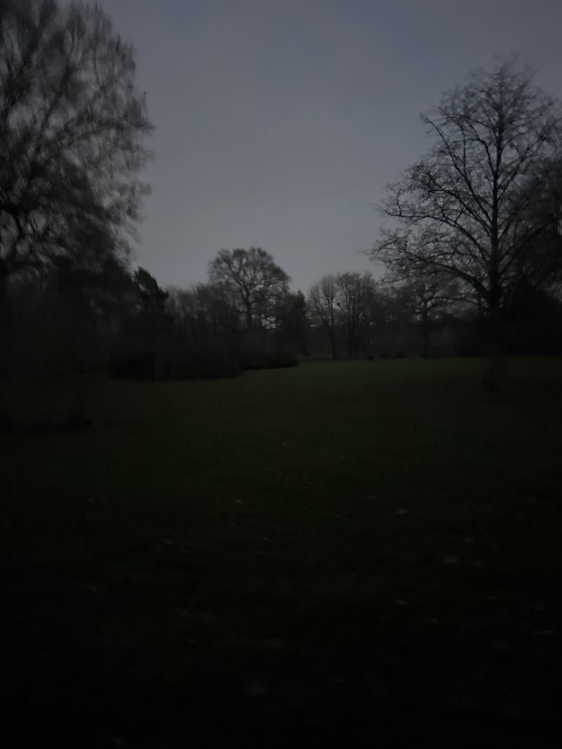 walking near me in Cator Park in winter