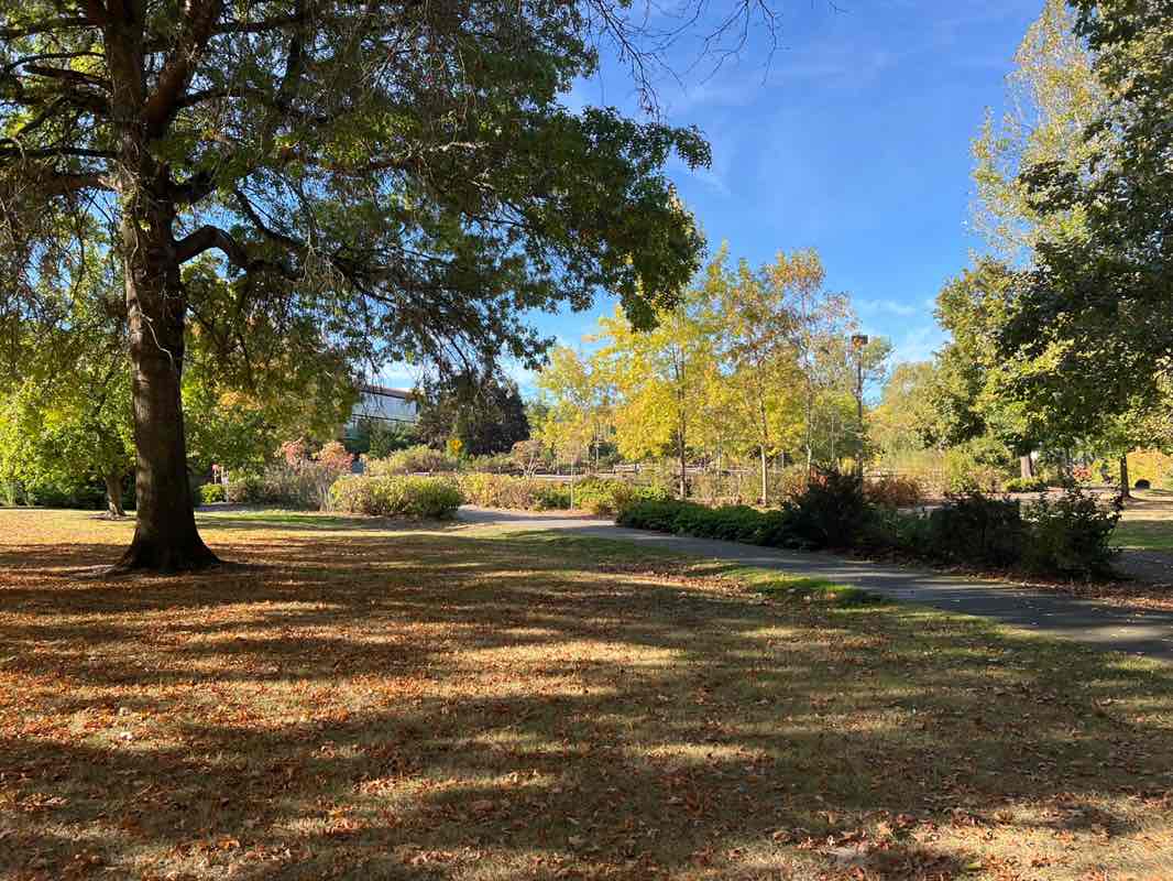 walking near me in Willamette Park in autumn