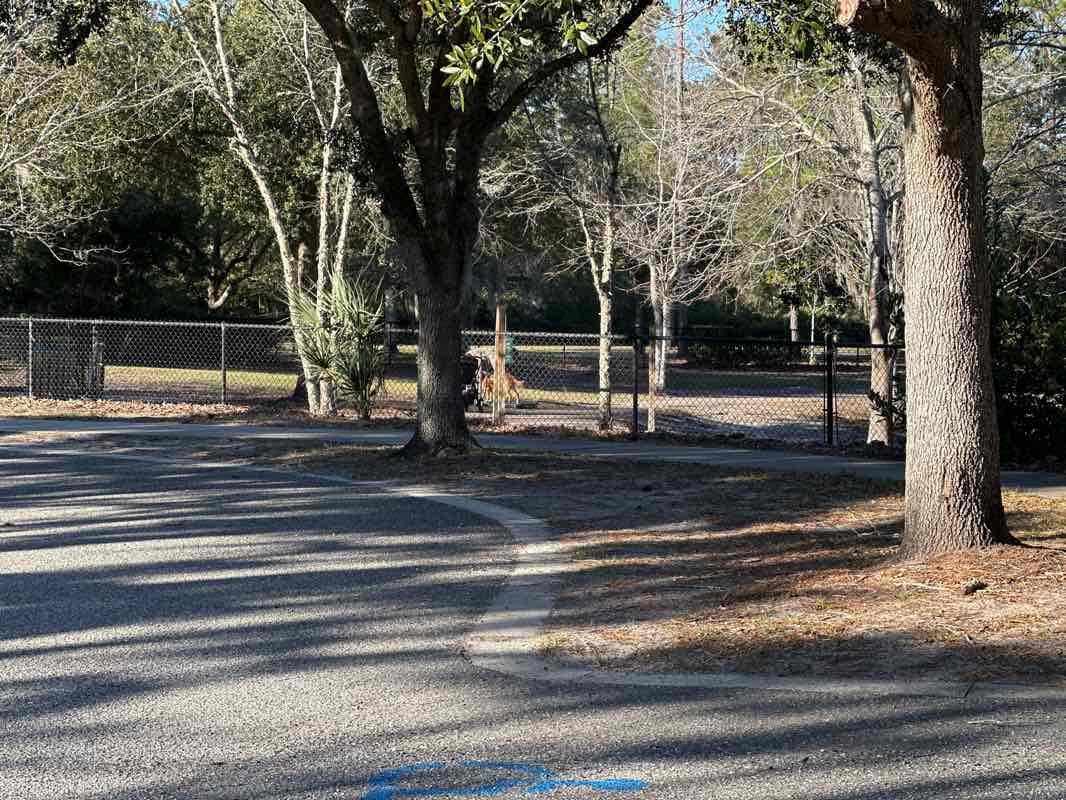 walking near me in Nocatee Community Park in winter