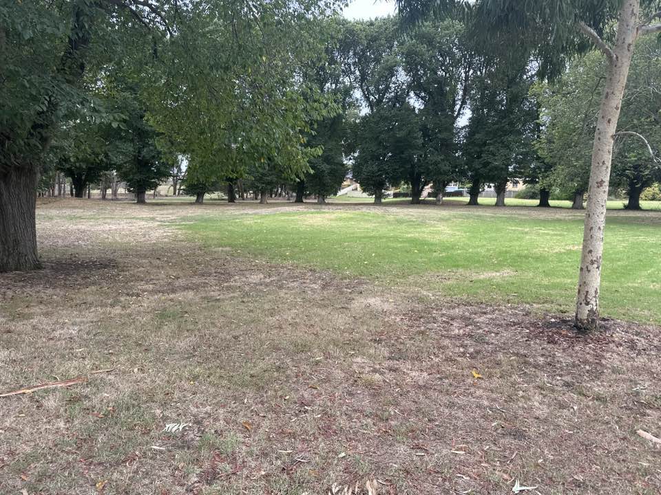 walking near me in Hugh Murray Reserve in autumn