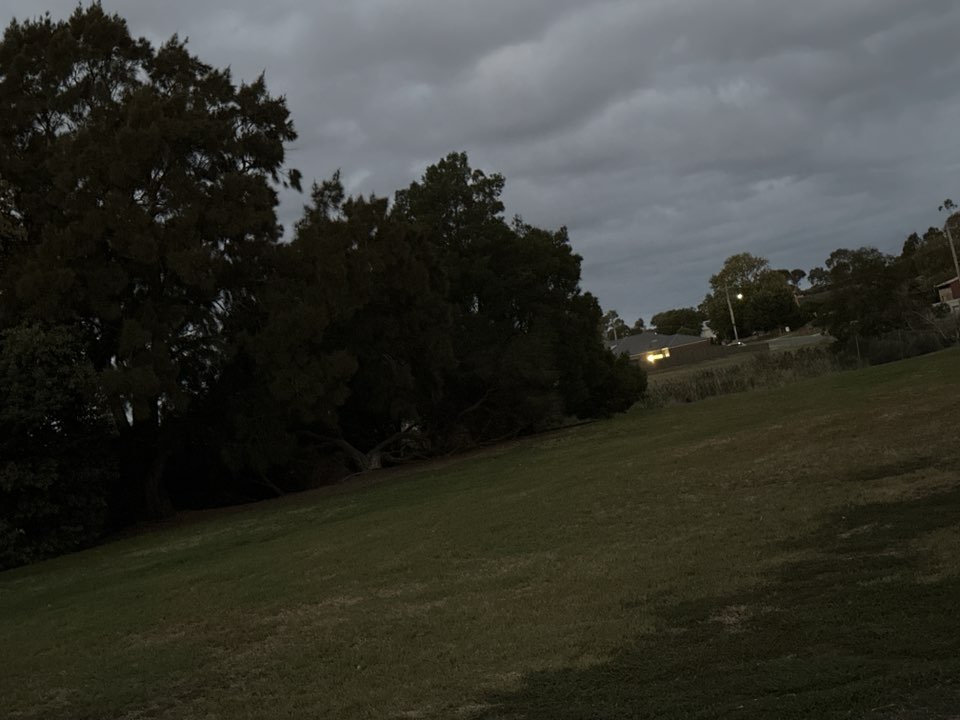 walking near me in Eastern Reserve in autumn