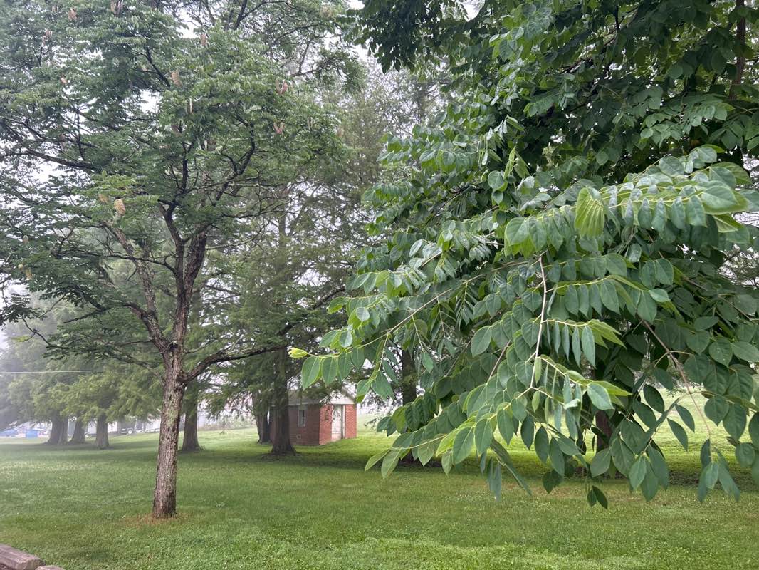 walking near me in Richland Avenue Park in summer