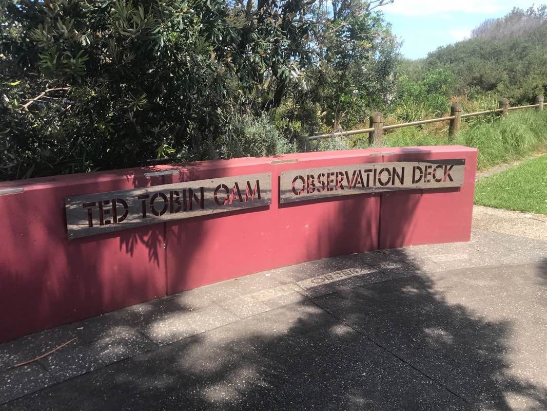 walking near me in Flagstaff Hill Park in summer