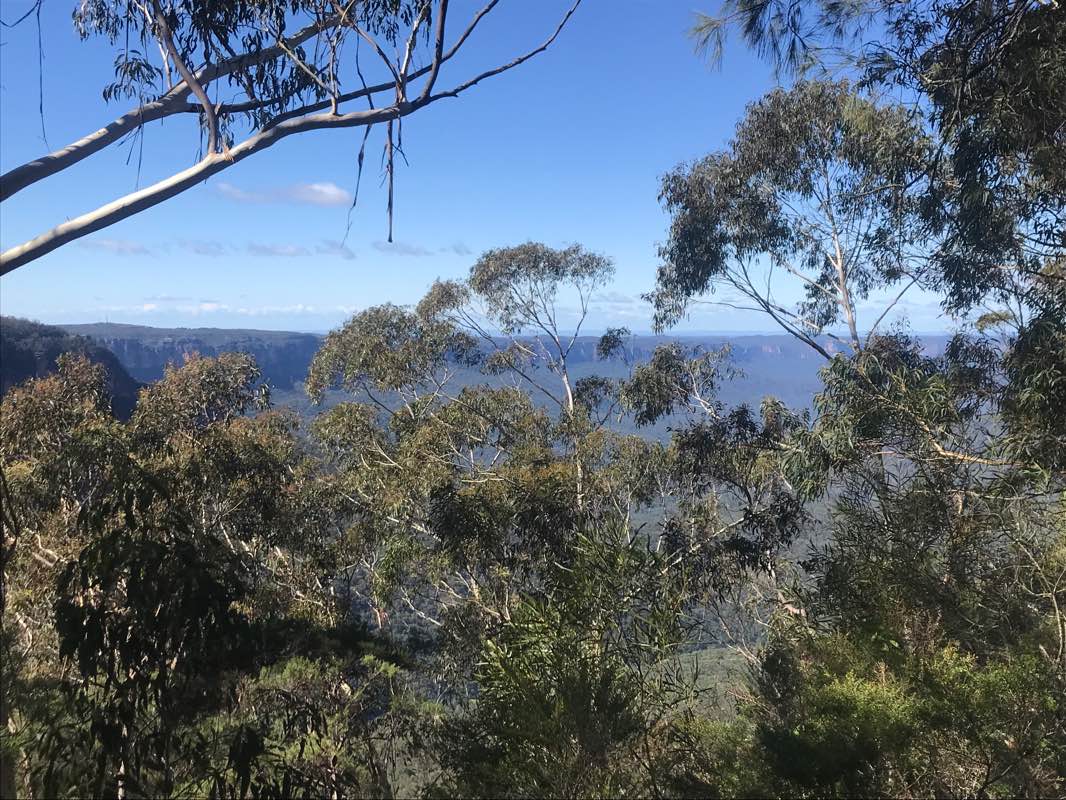 walking near me in Echo Park in summer